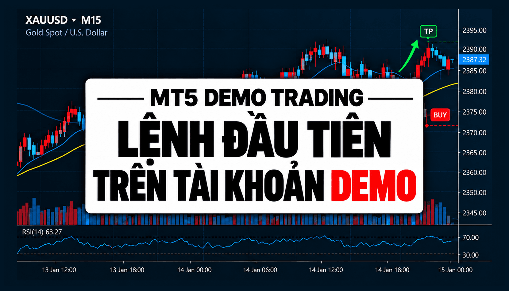 Hướng dẫn người mới cách bắt đầu Demo Trading trên MT5 và luyện tập bằng tiền ảo