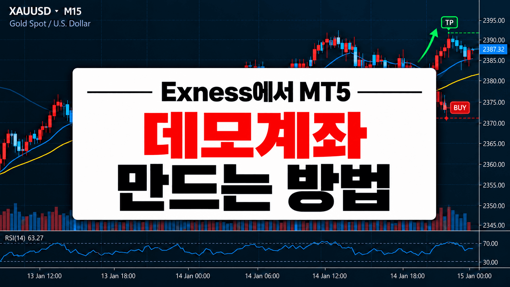 Exness에서 MT5 데모계좌를 만들고 가상잔액과 서버 정보를 설정하는 방법